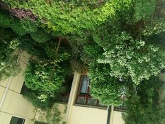 android_upload_pic-颐而康·按摩·艾灸·足疗(汽车东站店)