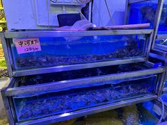 -八仔大富楼·河鲜(西江店)