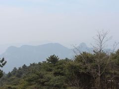 -鲁山国家森林公园