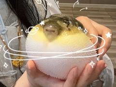 -肆月河豚·淮扬菜·湘菜(华天店)