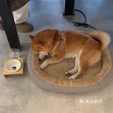 长沙新店｜有景德镇内味了