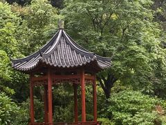 -云溪植物园