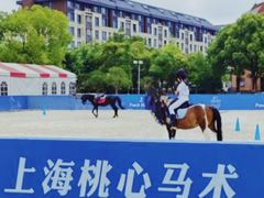 -SMP滑板公园