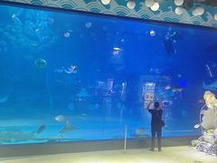 -烟台海昌鲸鲨海洋公园