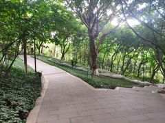 -龙头寺公园
