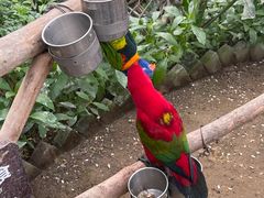 -南宫五洲植物乐园