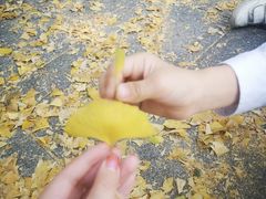-两江幸福广场