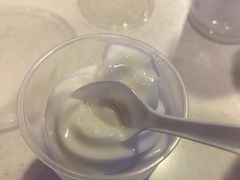 -洪馨椰子