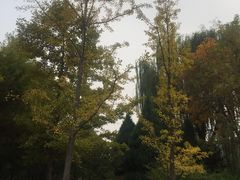 -北京宽沟会议中心