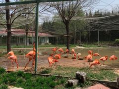 -石家庄市动物园