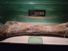 -珠海市博物馆