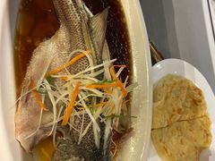 -凯鸽酒楼(操场城店)