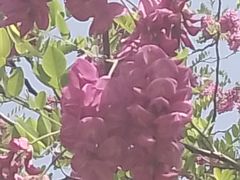 -洨河生态公园