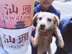 -一杯潮茶·专注潮汕茶饮(十二中创始店)