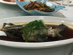 -和乐喜宴海鲜酒家(骏荣广场店)