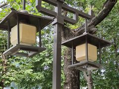 -木塔寺遗址生态公园