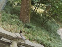 -西安曲江寒窑遗址公园