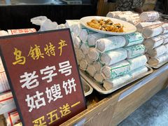 -乌镇东栅景区