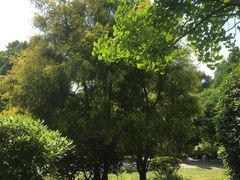 -铁山坪森林公园