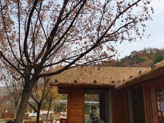 -九如山休闲旅游度假区