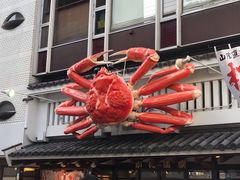 -蟹道乐(道顿堀本店)