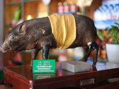 -香猪美食(中心店)