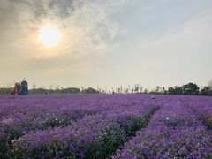 -花博汇(知音花月夜)