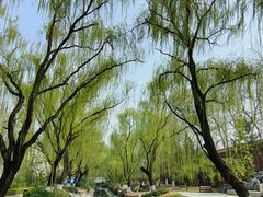 -菖蒲河公园