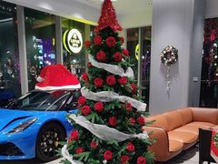 -莲花跑车(国贸商城店)