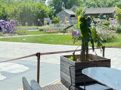 -The Rug Cafe(王府中环店)