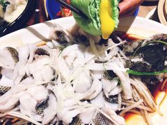 -觅唐MITONG(鸟巢店)