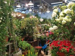 -双季花艺园艺市场(浦东店)