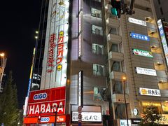 -秋叶原电器街