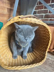 -青木造型HAIR·あおき髪を刈る潮人店