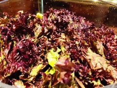 罗莎红生菜-领仕扒房(长春店)