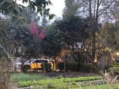 -故乡缘·香格里拉山庄(冷竹路店)