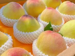 -老袁家蜜桃农场·阳山水蜜桃