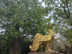 -云南勐巴娜西珍奇园