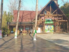 -合肥滨湖国家森林公园