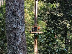 -西双版纳原始森林公园