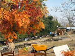 -HERRE·FARM 赫尔露营农场·团建聚会包场