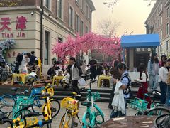 -天津五大道文化旅游区