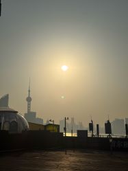 -上海首尔丽格医疗美容医院