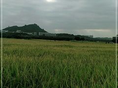 -光明小镇欢乐田园