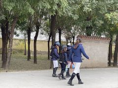 -北京群众马术培训基地