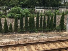 -衡阳东站