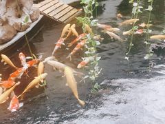-湖鲜楼