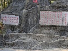 -东莞市大岭山森林公园