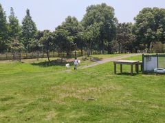 -田园东方蜜桃村的田野营地