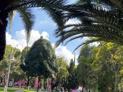 -云南师范大学(一二一西南联大校区)